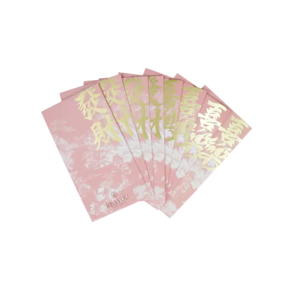 Chinese New Year Red Packet